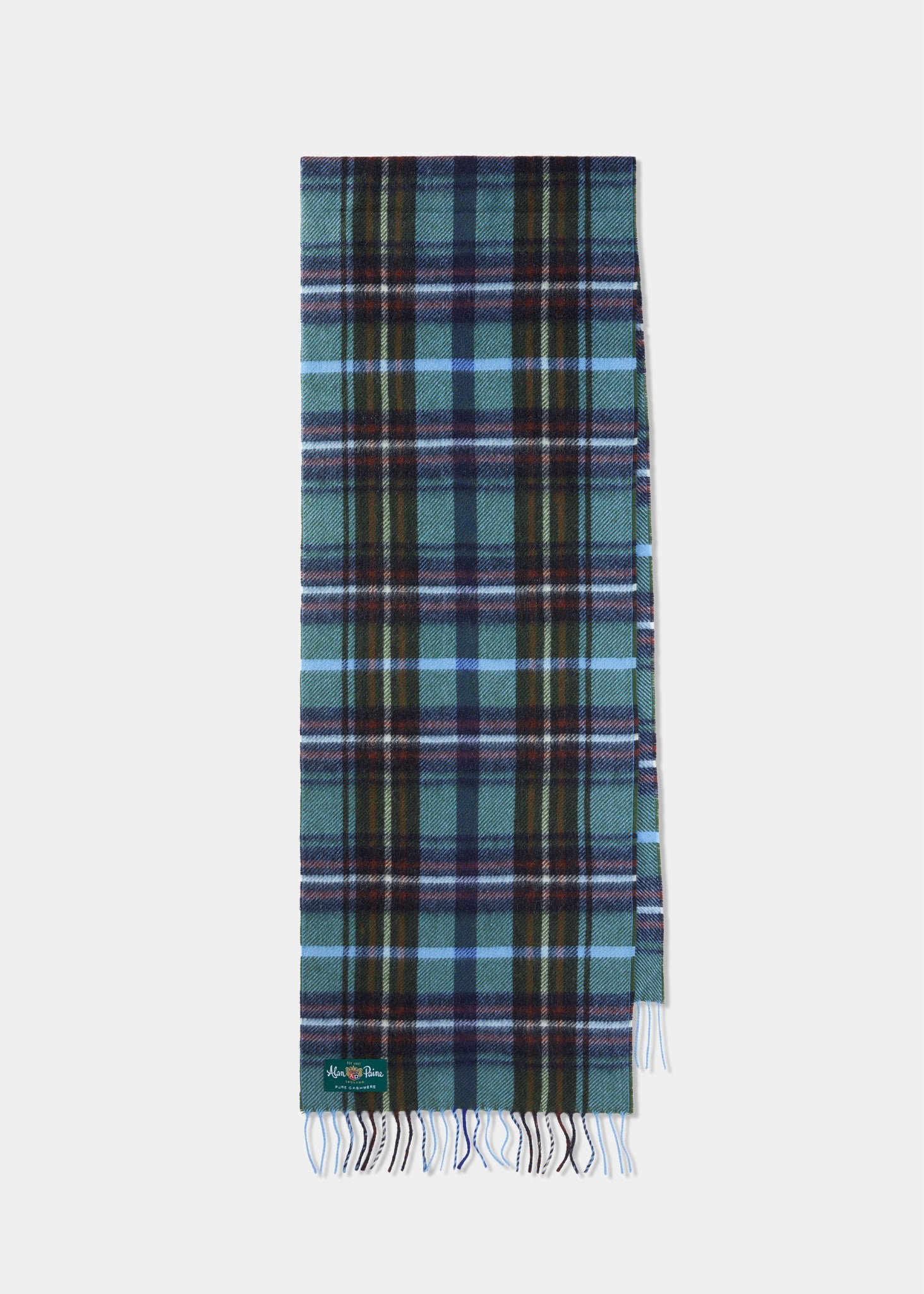 Kirkton Tartan Plaid Cashmere Scarf In Moss