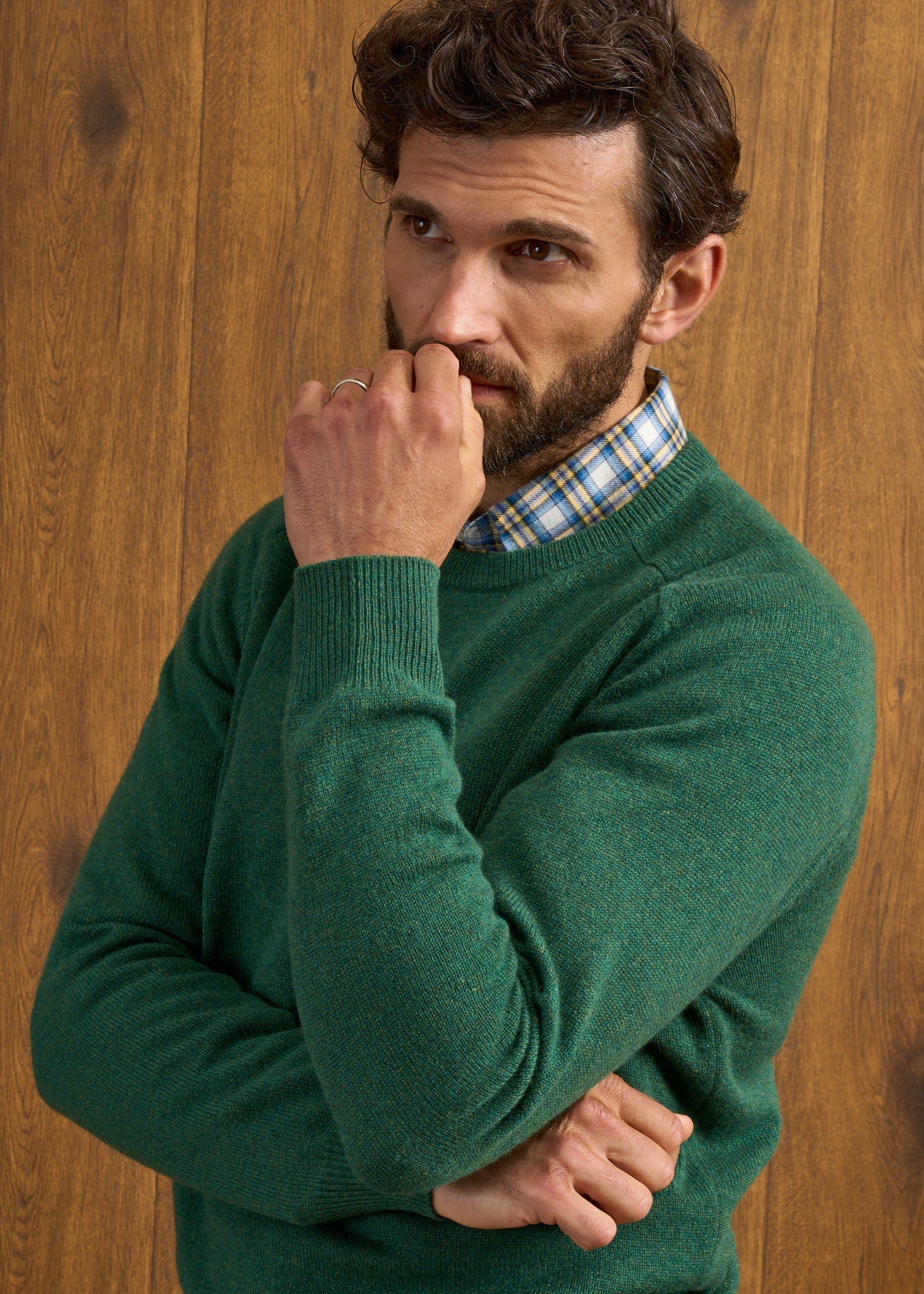 Dorset Men's Lambswool Jumper in Courgette - Classic Fit